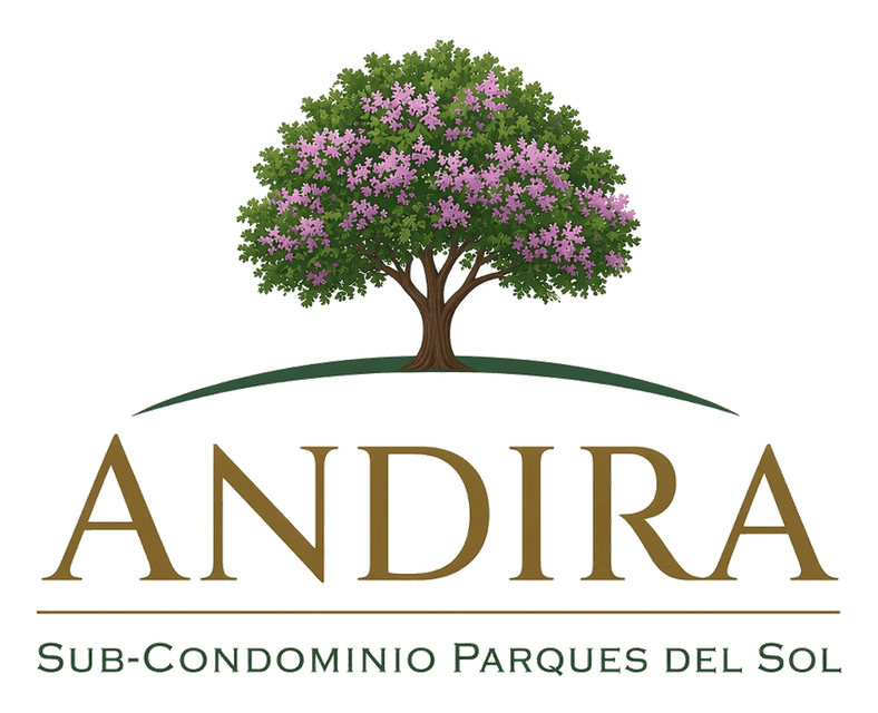 Andira