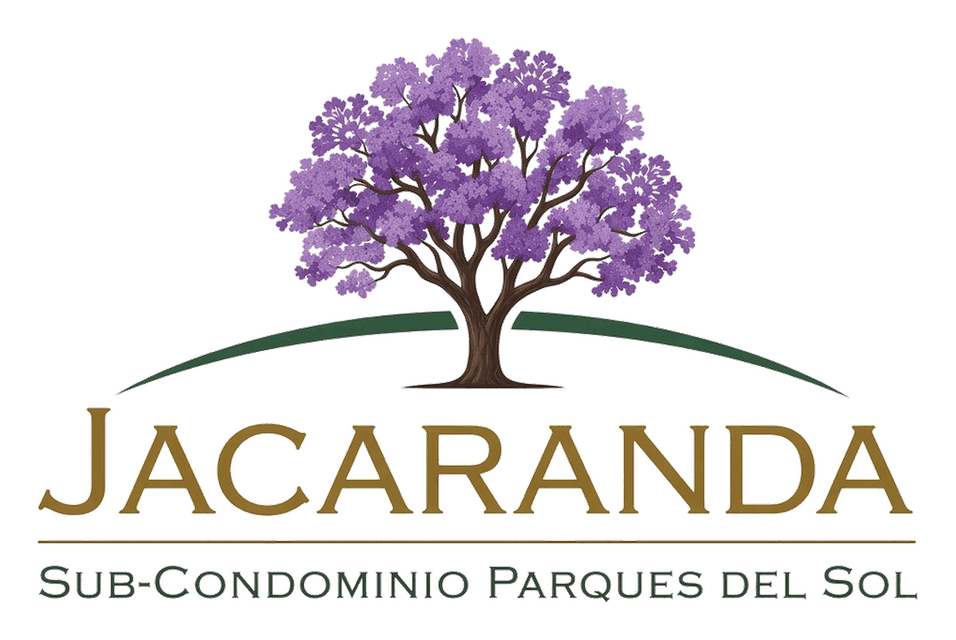 Jacaranda